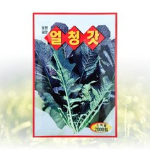 농사친구 얼청 갓 씨앗 2000립 동원 씨 종자 김장 쪽파 고사리 항암 배추 베타 텃밭 베란다 모종 불암 토광 알타리, 2000립 1봉
