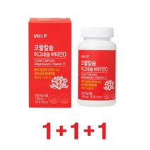 비타민하우스 코랄칼슘 마그네슘 비타민D (1400mg x 120정) 1+1+1