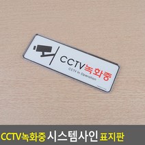 CCTV녹화중 감시카메라 픽토그램 시스템사인 표지판 195x65