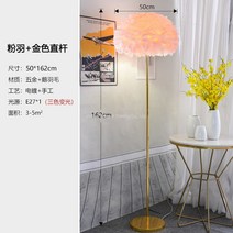 WARM프리미엄 깃털스탠드 인테리어 롱 스탠드 장 거실 플로어 스탠딩 소품 조명, 핑크와 + 골드 스트로크 스탠드 3색 빛 증정