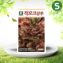 솔림텃밭몰 적오크상추씨앗 2000립 적오크 상추 씨앗 종자, 1개
