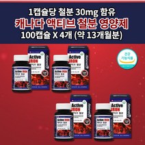 여성 생리 임산부 출산후 임신 산모 철분제 성인 남성 청소년 어지럼증 철 결핍성 결핍 철분 부족 증상 개선 에좋은 식약처 인증 건강 기능 식품 대용량 고함량 철분 영양제 100캡슐, 4개