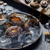 누리 완도 활전복 소 1kg 25-30미, 단품