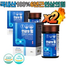 부모님 어르신 노인 대동고려삼 인삼의힘 원기회복 면역력 농축액 240g x2박스, 2박스