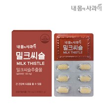 내몸에사과해 밀크씨슬(유통기한 2023-04-26까지), 21g, 1박스