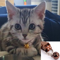 고양이 강아지 방울 묘 목걸이 아기 아깽이 리본 목줄, 제품선택, 토끼