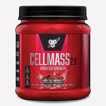 신타6 셀메스 크레아틴 글루타민 아틱베리 495g, 1개