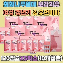 폐경기 갱년기 여성 회화나무열매 플라보노이드 건망증 안면홍조 심계항진 발한 보라지 유 오일 감마리놀렌산 소포리코시드 소포리코사이드 상피세포 성장 호모시스테인 뼈형성 석류 산삼배양근 에스트로벤 40 50대