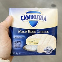샴피뇽 깜보졸라 125g x 1개, 종이박스포장