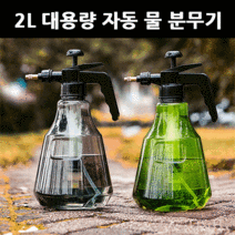 라온텐 물 압축 자동 분무기 2L, 그린투명