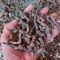 국내산 건지황 300g / 2022년12월 말린 생지황 건조지황 / 농장재배건조판매