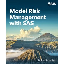 Model Risk Management with SAS Paperback, SAS Institute