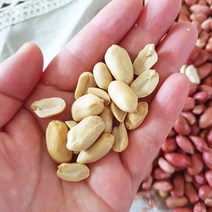 [산지직송] 좋은물과 흙이 만들어낸 땅콩! 22년 여주 햇 생땅콩 500g + 볶음땅콩500g, 1개