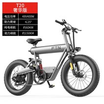 전기 자전거 ftn 리튬 배터리 오프로드 새로운 스쿠터 20 인치 산악 해변 오토바이, 48v, 15아, t2048v15ah럭셔리 버전7단 변속크루즈 약