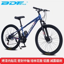 클래식 BDF 전기 자전거 24/26 인치 도로 산악 자전거, 블루 26인치 21단