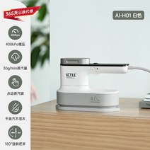 스팀다리미 핸드 헬드 과급 의류 다림질 기계 가정용 소형 전기 미니 휴대용 유물, 1. 퀵스팀 다리미