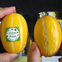 신선패치 부패가 천천히되는 72장 슬로우패치 버섯 천혜향 인삼 토마토 감 채소야채 포장육