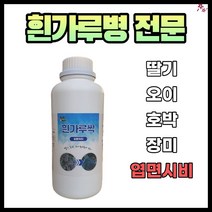 농사친구 흰가루싹 1리터 흰가루병 전문약 딸기 오이 호박 장미, 1L, 1개