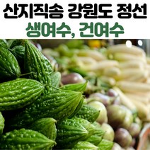 산지직송 강원도 정선 무농약 여주 생여주 건여주 말린여주 500g 1kg 5kg 10kg, 말린여주_1kg