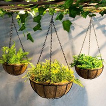 행잉 화분 화분걸이 인테리어 바구니 넝쿨 천장 공중, 2-코코넛행잉화분30CM