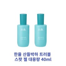 [정품] 한율 산들박하 트러블 스팟 젤 대용량 40ml x 2개 (2개구성), 40m 1개 단품