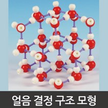 화학 실험 구조 열음 결정 모형 분자 고등 과학교구 과학 키트 도구 중등 생물 방과후학습