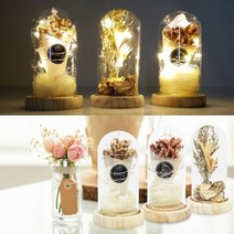 BIA576725LED 무드등 추억 인테리어 소망 드라이플라워 다온, 선택완료