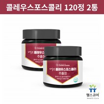 포스콜린 콜레우스포스콜리 정 추출물 분말 타블렛 가루 건조효모 해썹 120정 2통