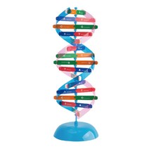 DNA 분자구조 수업 이중나선 조립모형 기본조직 연구소 의료분야 세포관찰