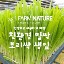 [팜네이처] 친환경 무농약 밀싹 / 보리싹 생잎, 보리싹 100g
