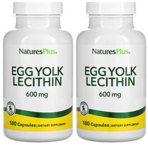 1+1 네이처플러스 난황 에그 요크 레시틴 300mg 180캡슐 포스파티딜 콜린 이노시톨