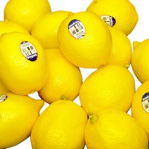 [선키스트레모네이드] 레몬 1kg~3kg 팬시레몬 초이스레몬 레몬에이드 레몬청, 팬시 레몬 2kg(16~20과)