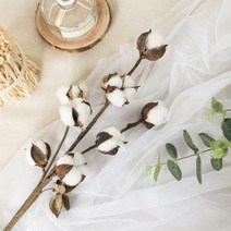 감동샵 목화 가지 번들 8송이 조화