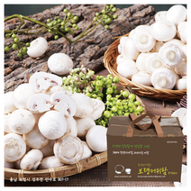 보령머쉬팜 양송이버섯 (500g/1Kg/꼬다마2Kg/특2kg), 꼬다마 2kg, 1개