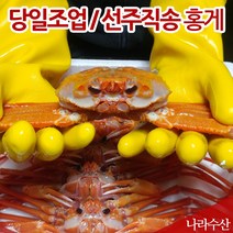 산지 직송 국산 영덕 대게 박달 홍게, 10_실속자숙홍게3kg(9~12마리)