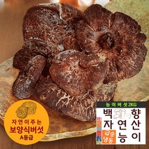 보양식재료 [백향송이]자연향가득 자연산A등급 냉동 능이버섯 2kg 효도선물, 능이버섯 A등급 2kg