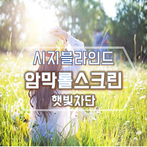 대구암막블라인드 칠곡 현풍 대구전지역출장 및 시공가능