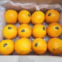 고당도 네이블 오렌지 특대과 10과 3kg 내외