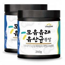 초담 모유유래유산균 락토바실러스 퍼멘텀 신프리 프로바이오틱스 240g 2통
