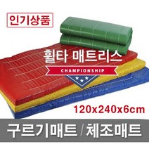 빅세일 [휠타매트리스] 120x240x6cm 구르기매트 체조매트 학교체육 유아체육 체육관매트 낙법 착지매트, 빨강(Red), 일반형