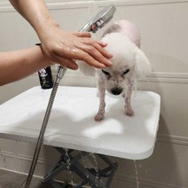 의지몰 애견 셀프미용 테이블 원터치 높이조절, 셀프미용 테이블 블루