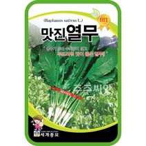 맛진열무 씨앗 30g 열무 씨 맛깔계 김장 채소 숫무 young radish seed