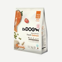 피부모질 닥터독 사료1kg, 없음