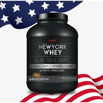뉴욕웨이 WPC 초코맛 단백질보충제 헬스보충제 웨이프로틴 농축유청단백, 2kg, 1개