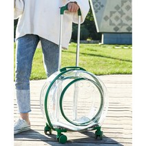 강아지 고양이 노령견 투명 캐리어 우주선 캡슐 기내용 백팩 켄넬 산책 이동장 투명 펫캐리어, 그린, 캐리어형