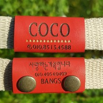 코코방스 강아지 고양이 반려견 천연가죽 인식표 똑딱이, 바탕체, 코발트블루