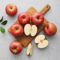 [산지직송] 경북 아삭아삭 사과 2kg 중과 (9과내외), 단품