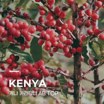 [생두] 케냐 카라티나 AB TOP 10kg