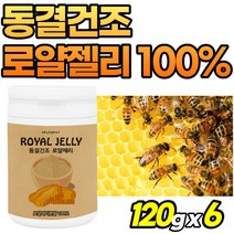 로얄젤리 100% 분말 순수 로얄제리 동결건조 로얄제리티 royaljelly 여성 고함량 가루 고순도 부모님 선물 로열제리 파우더 50대 로열젤리 로얄제리차 남자 먹는법 호주산, 1개, 6개