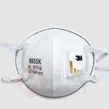 크린룸 1급방진 마스크 초정전필터 분진 안면부여과식 10개입